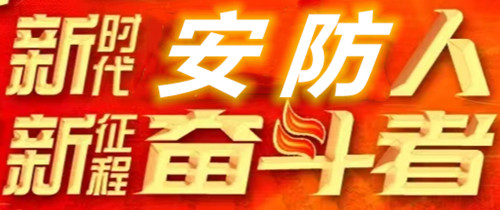 河南华安保全智能发展有限公司 史芳玲